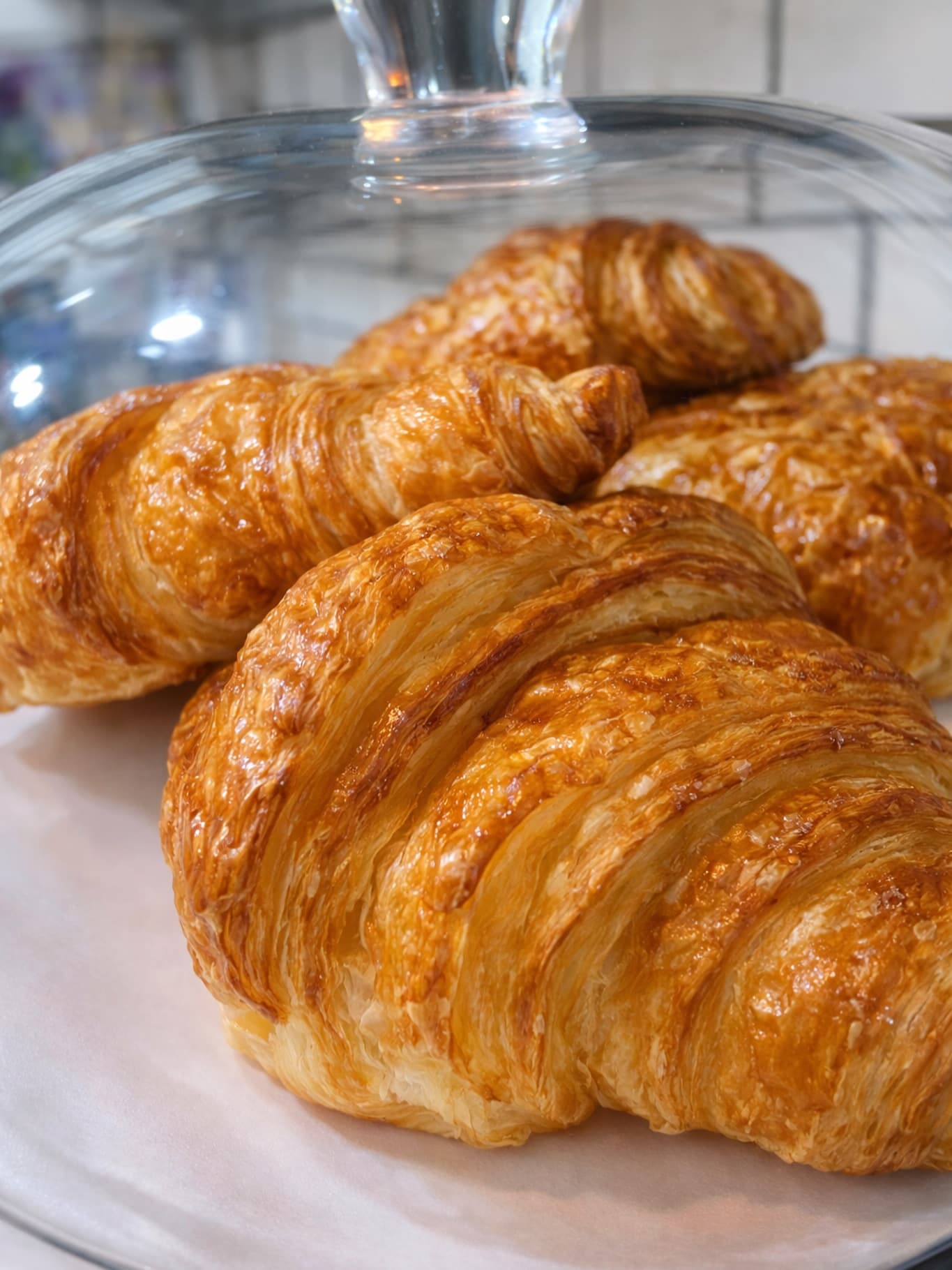 Fresh Bakes